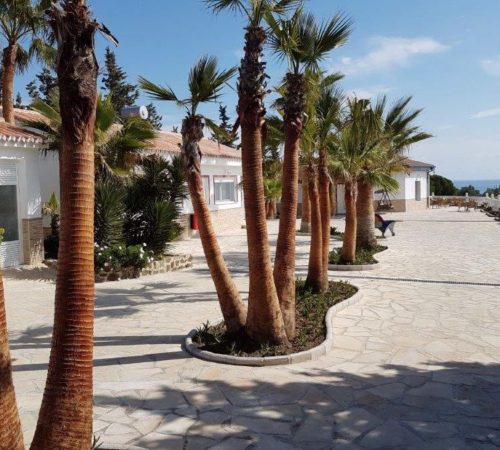 Finca_vy