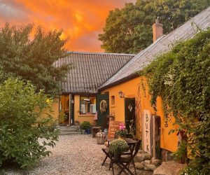 Bäddar och ängar dans yoga Österlen retreat