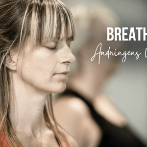Breathwork Andning